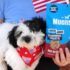 Ancient Grains Dog Food for Healthy Digestion – Muenster Pet