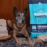 Ancient Grains vs. Grain-Free Dog Food – Muenster Pet
