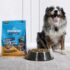 Ancient Grains Dog Food for Healthy Digestion – Muenster Pet