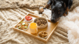 What Dogs Should Eat – Muenster Pet