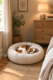 Corner Dog Bed Ideas