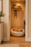 Dog Corner Ideas for a Closet Space