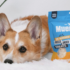 Portions & Transition – Muenster Pet