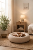Dog Corner Ideas Living Room