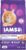 IAMS Proactive Health Kitten Dry Cat Food, Healthy Kitten Food Dry Recipe with Real Chicken in Every Bite, 7 lb. Bag