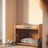 Dog Room Ideas Indoor