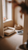 Dog Room Ideas Indoor