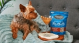 New Proteins to a Chicken-Allergic Dog – Muenster Pet