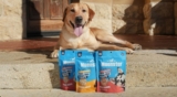 What’s the Best Protein for Dogs?