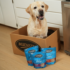 7 Best Countries to Visit With a Dog – Keep the Tail Wagging