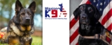 Celebrating K9 Veterans Day – Join the Mission! – Muenster Pet