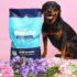 How to Choose the Right Dog Food for Your Puppy