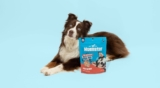 Can Dogs Eat Salmon? Benefits, Risks & Safe Serving Tips – Muenster Pet