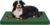Outdoor Extra Large Dog Bed XXL for Giant Breed Dogs