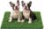 Replacement Artificial Grass Pee Pads for Dogs Potty Training to Pee & Poop