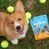 Best Chicken-Free Dog Food Options for Allergies Guide – Muenster Pet
