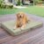 Sytopia 42 Inch Indestructible Dog Bed for Extra Large Dogs, Chew Proof Orthopedic Egg Crate Foam Pet Mat with Durable Waterproof Removable Washable Cover, Great for Outdoor, Crate Use, Green
