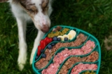 Is Fresh Dog Food Worth It? 7 Health Benefits