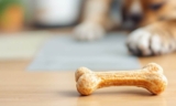 Are Dog Bones Safe for Your Furry Friend? – The Dogington Post