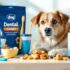 Pet Disaster Prep: First-Aid & Evacuation Kit