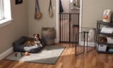 Dog Friendly Apartment Tips For Stress-Free Living – The Dogington Post