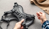 How to Choose a Safe Dog Harness for Your Pet – The Dogington Post