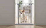 How to Choose the Best Indoor Dog Safety Gate – The Dogington Post