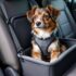 How to Keep Your Dog Safe in the Car – The Dogington Post