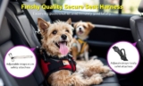 How to Choose the Best Dog Safety Seat Harness – The Dogington Post