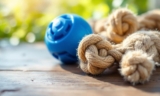 How to Choose Safe Dog Toys for Your Pet – The Dogington Post