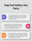 How to Keep Your Dog Safe Around Water – The Dogington Post