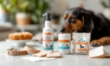 How to Choose the Best Dog Wound Care Products – The Dogington Post