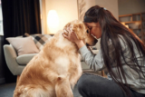 Making Your Doggy Date Night Extra Special – Muenster Pet