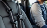 How to Choose the Best Free Dog Safety Belt for Your Car – The Dogington Post