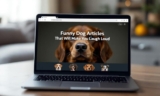Funny Dog Articles That Will Make You Laugh Out Loud – The Dogington Post