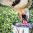 Three Warning Signs of Low-Quality Raw Pet Food
