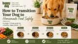 How to Transition Your Dog to Homemade Food Safely – Happy Dog Food