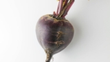Can Dogs Eat Beetroot? Safety & Health Guide – Keep the Tail Wagging