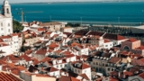 7 Best Countries to Visit With a Dog – Keep the Tail Wagging