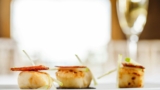 Can Dogs Eat Scallops? Safety Guide for Pet Owners – Keep the Tail Wagging