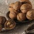 What Every Anxious Dog Owner Needs to Hear Right Now – The Dog Bakery