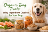 Organic Dog Treats: Why Ingredient Quality Matters for Dogs