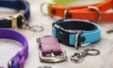 How to Choose a Safety Release Dog Collar for Your Pet – The Dogington Post