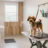 Clever Dog Crate Topper Ideas to Try Now