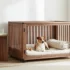 Diy Dog Leash Station Ideas That Cut Chaos Fast