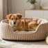 Genius Built in Dog Bed Ideas for Stylish Nooks