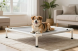 Genius Diy Raised Dog Bed Ideas Your Pup Will Love