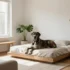 Dog Crate Furniture with Storage That Elevates Your Space