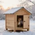 Viral Diy Christmas Dog Bed Ideas You Can Make for Under $30