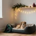 Genius Winter Dog House Ideas That Actually Keep the Cold Out